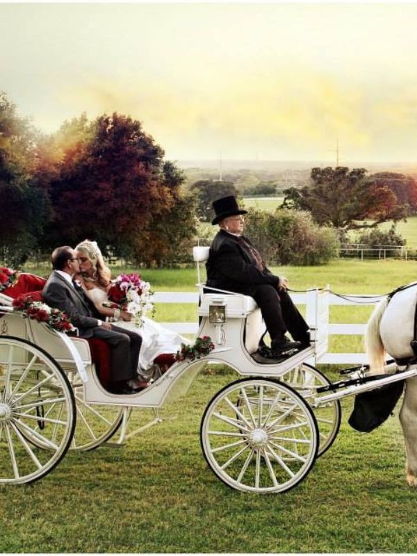 A horse-drawn carriage on the Lone Star Mansion property. 